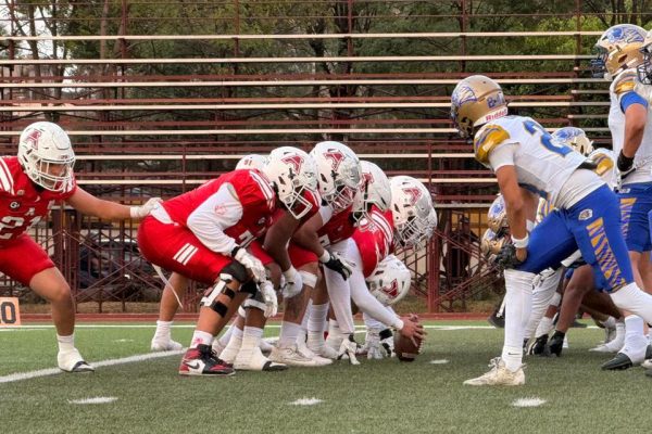Águilas Blancas recibe en la final a los Auténticos Tigres en Intermedia