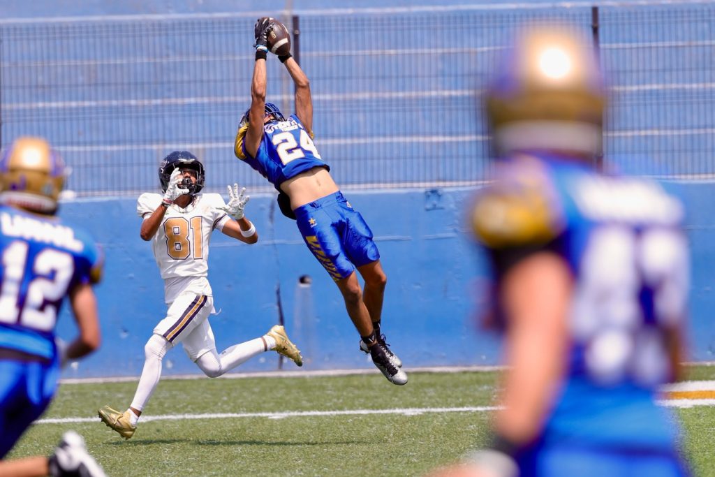 Auténticos Tigres avanza a la final de Intermedia