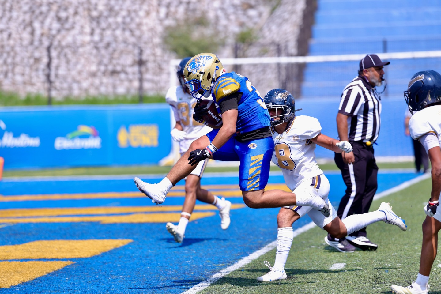 Auténticos Tigres avanza a la final de Intermedia