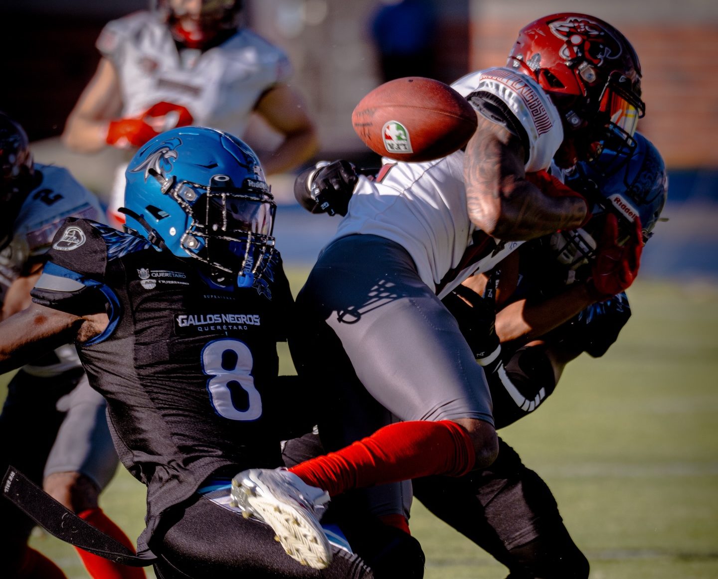 Mexicas cayó ante Gallos Blancos en la Semana 3 de la LFA