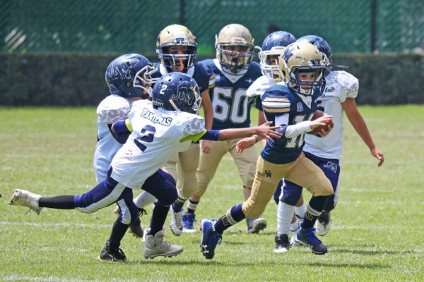 20 organizaciones participarán en la temporada 2026 de categoría Infantil de ONEFA