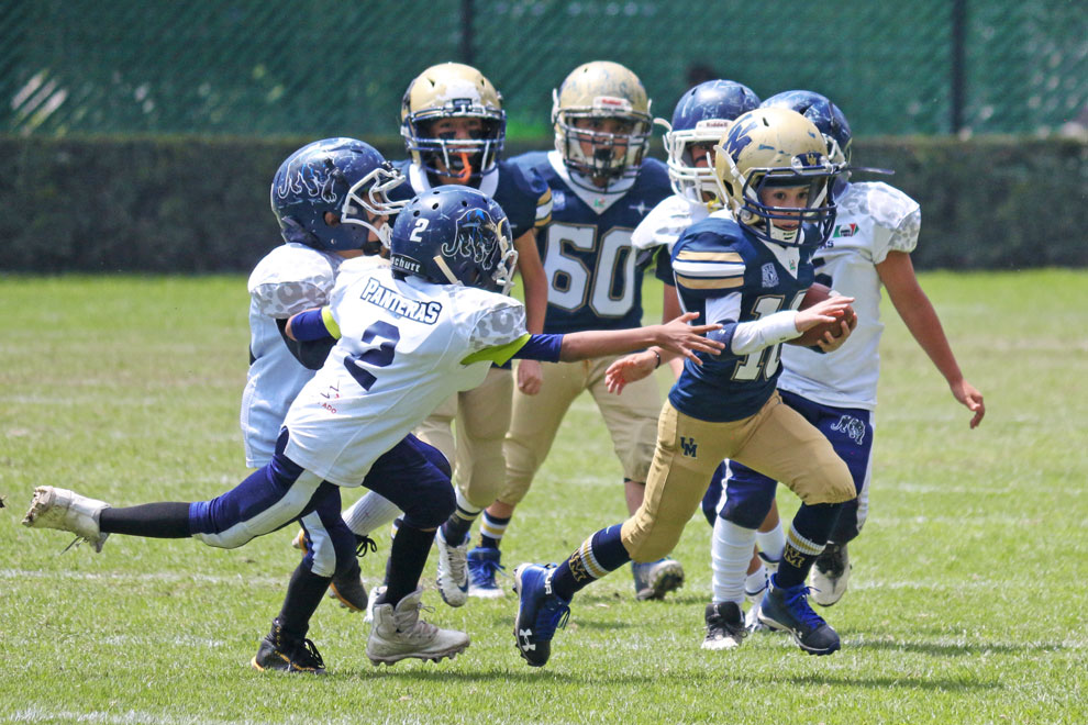20 organizaciones participarán en la temporada 2026 de categoría Infantil de ONEFA