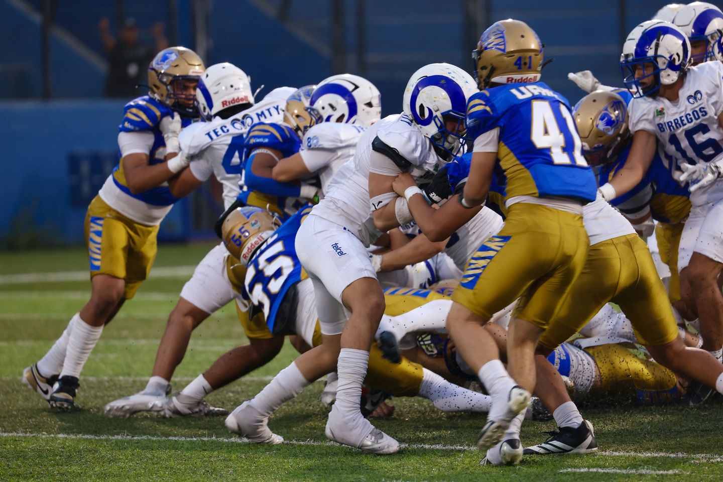 Semifinales Juvenil de ONEFA