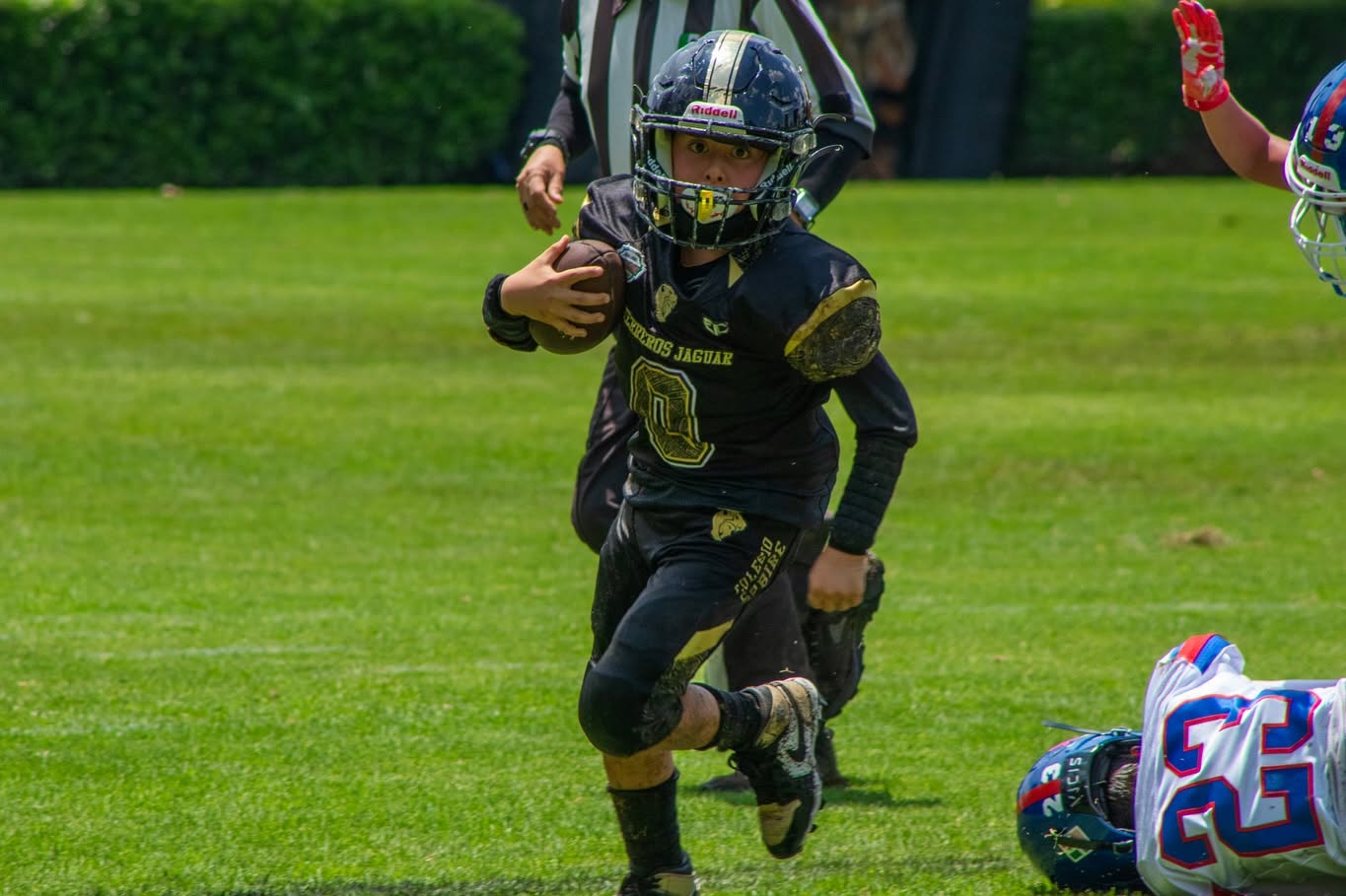 Guerreros Jaguar SuBiré